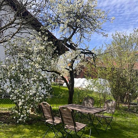 Zimmer Zum Wohlfuehlen Eching  Exteriér fotografie